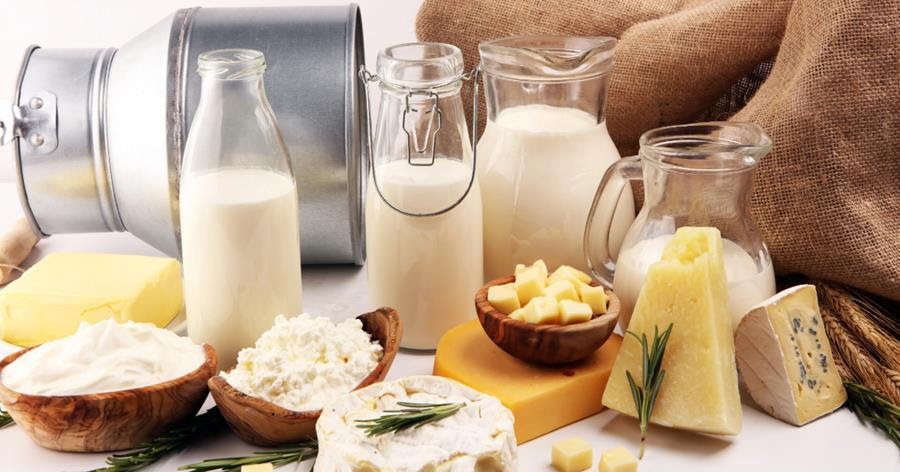 Various dairy products like milk and cheese and yogurt