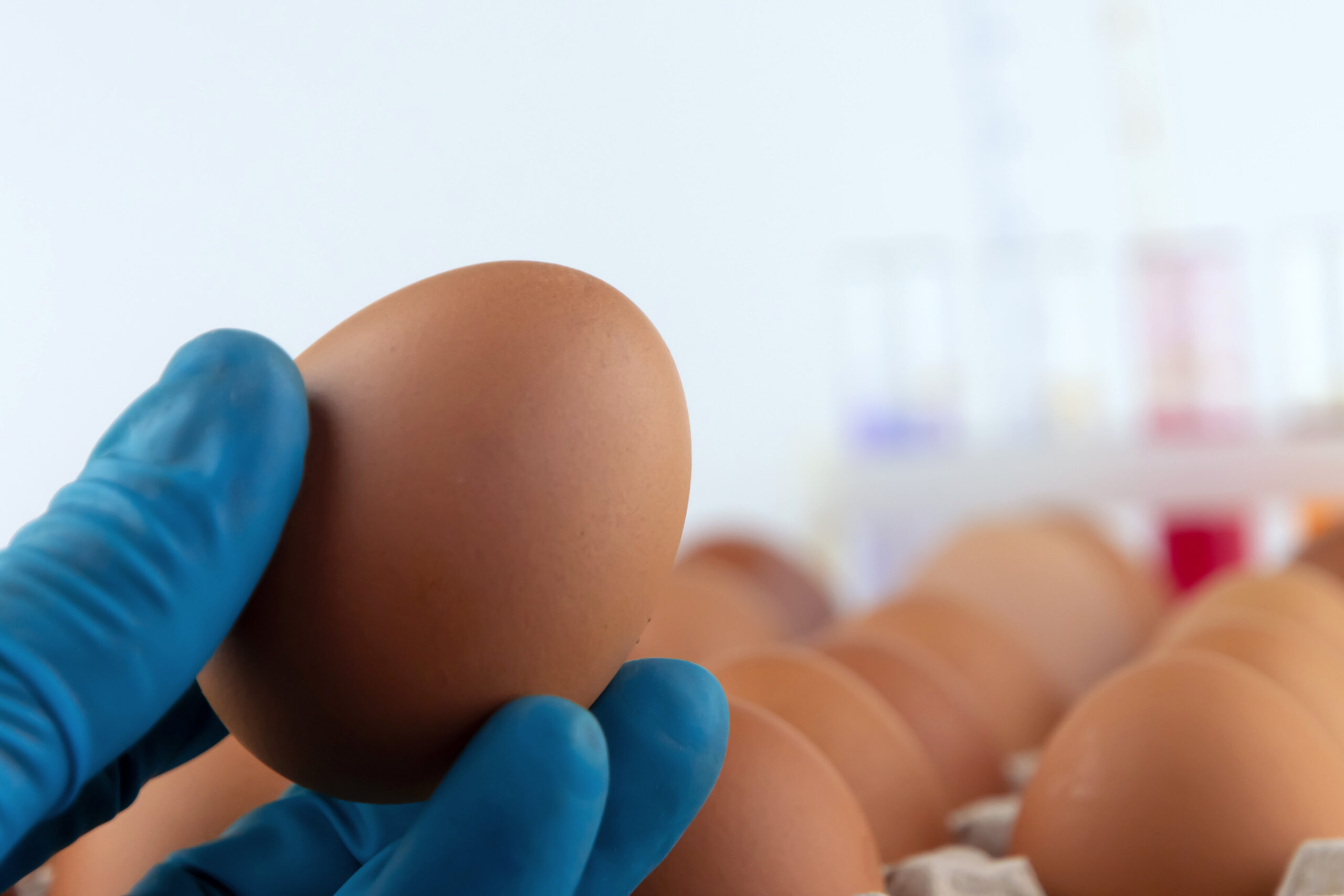 an egg in the scientist's hand, against a background of a tray of eggs and test tubes with chemicals