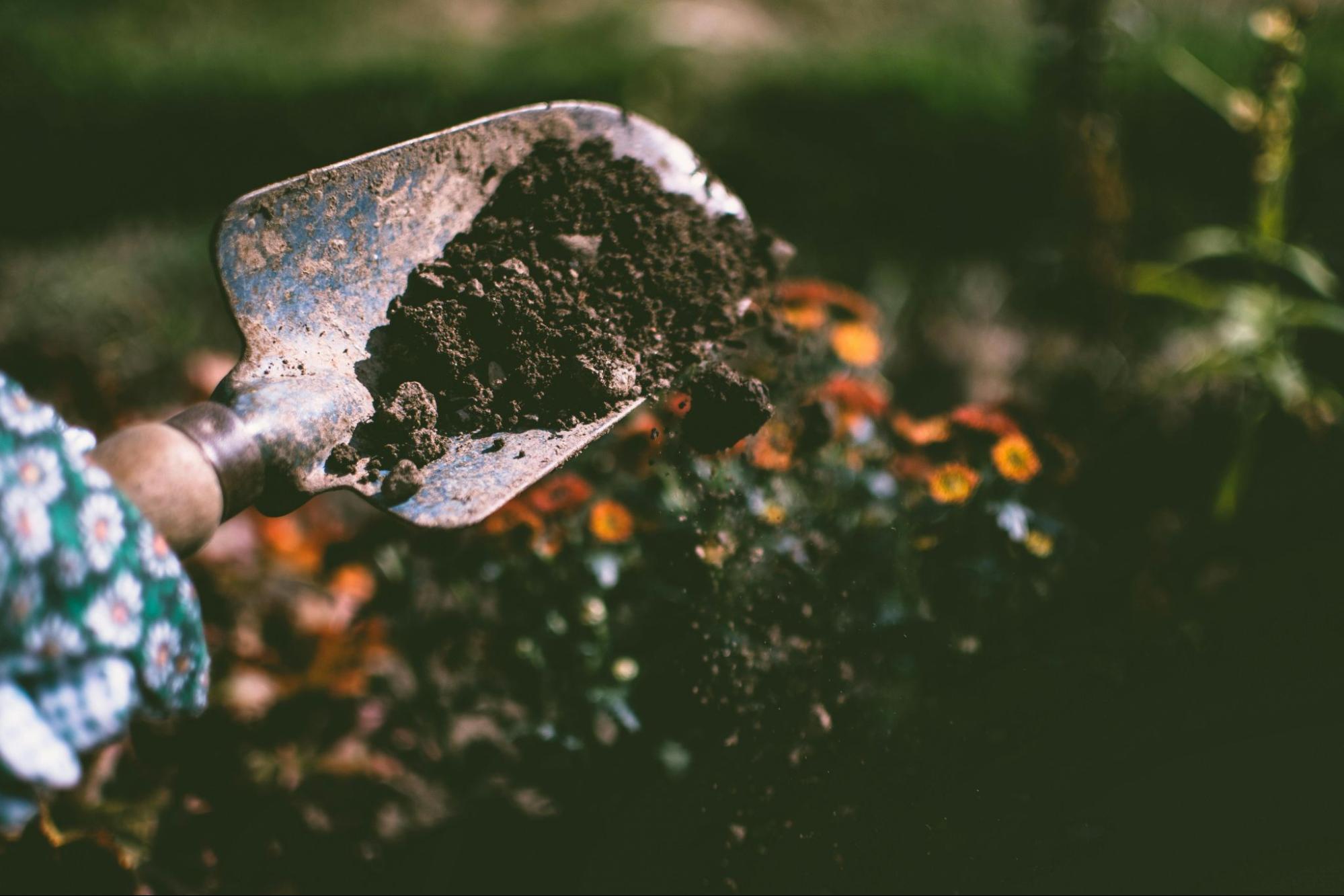 Gardening with trowel